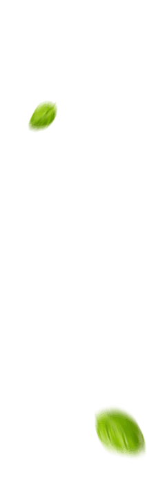 slider-2
