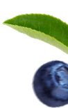 slider-3